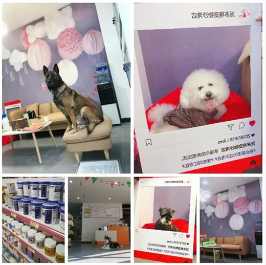 1545293692998980.jpg 微信图片_20181220160105.jpg