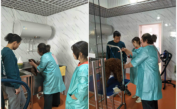 1548230197806150.jpg 未命名_meitu_0.jpg